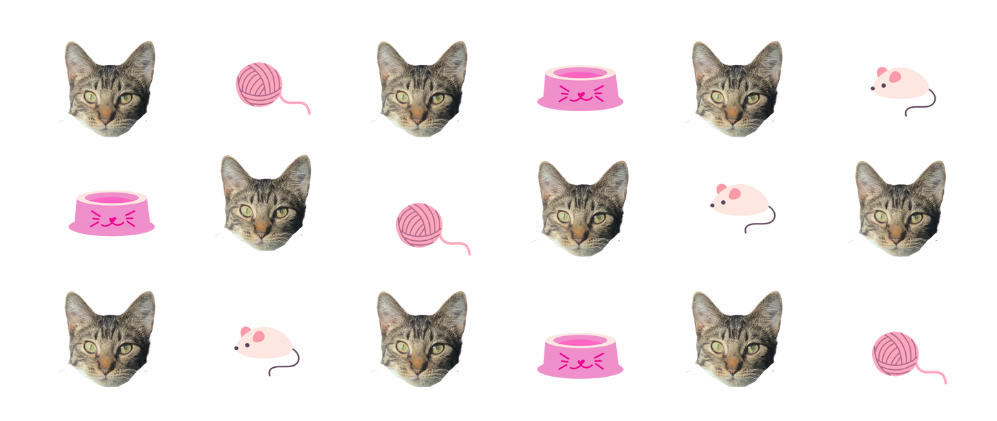 Personalized Cat Sipper